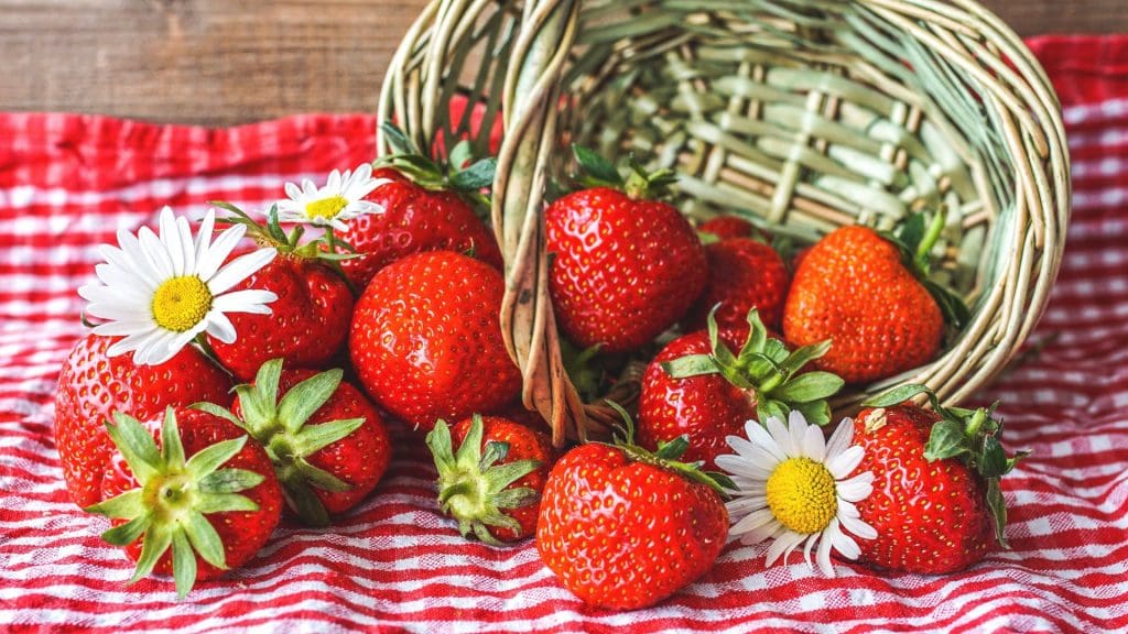 10 loại trái cây giúp tăng sức đề kháng tự nhiên – giàu vitamin và chất chống oxy hóa