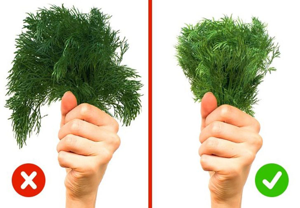 10 Bí Kíp Chọn Thực Phẩm Tươi Ngon, An Toàn Cho Sức Khỏe 7 10 Bí Kíp Chọn Thực Phẩm Tươi Ngon, An Toàn Cho Sức Khỏe
